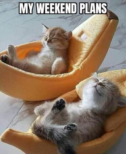 08:43:33 GMT-0400 (EDT)