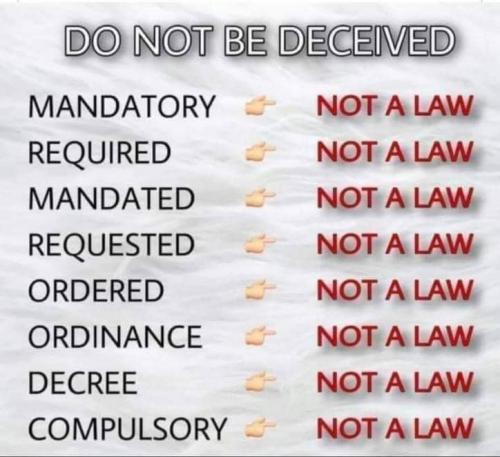 239231574_1264440067341125_6952029444843389945_n