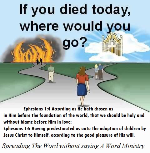 394189_308926712539800_773145635_n