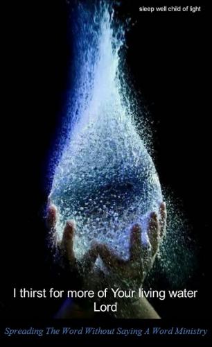 239992289_570957870719339_2823393515349912372_n