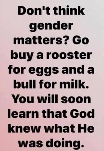 229483915_10225386961290969_3894885956720557324_n