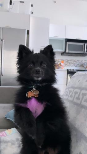 23:19:49 GMT-0400 (EDT)