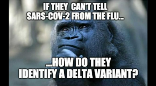 Screenshot_20210814-131633