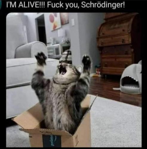 FB_IMG_1629982325298