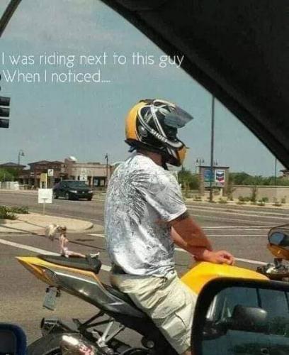 FB_IMG_1629323800854