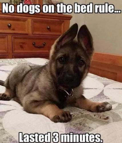 10:49:28 GMT-0700 (PDT)