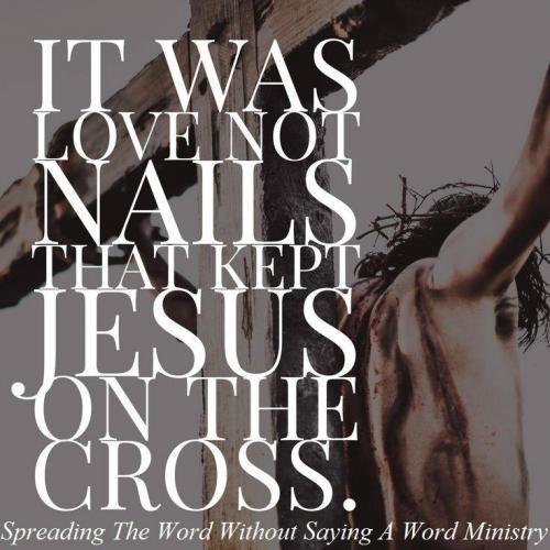 20915133_1506969166051876_1743066251901961645_n