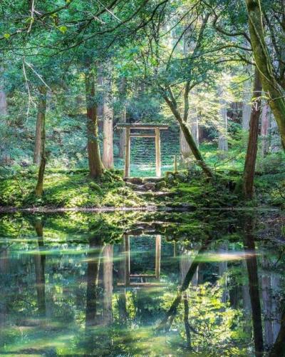 233389650_383935033073745_2082471767924968263_n