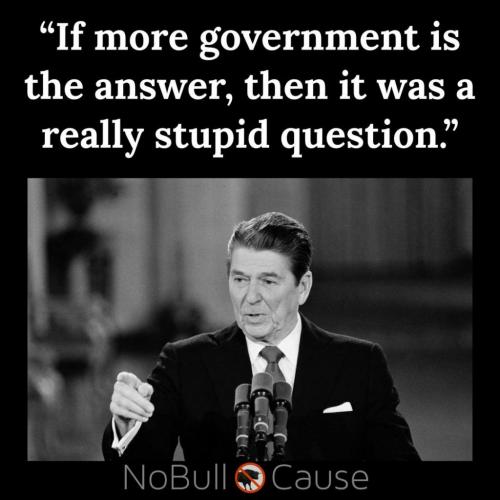 _b236435403_367529901409439_3945037291547715766_n