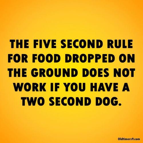 FB_IMG_1627218430526