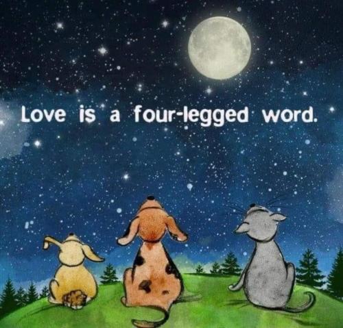 18:02:10 GMT-0700 (PDT)