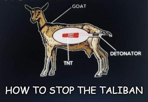 FB_IMG_1629688964654