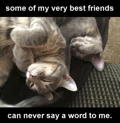 some of my very best friends