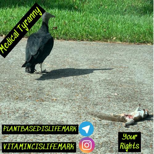 10:41:46 GMT-0500 (CDT).image