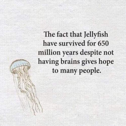 _()_05