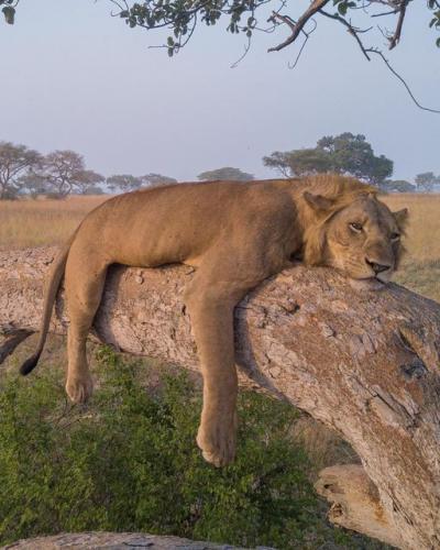 235805438_388110796025933_1112713183329149423_n