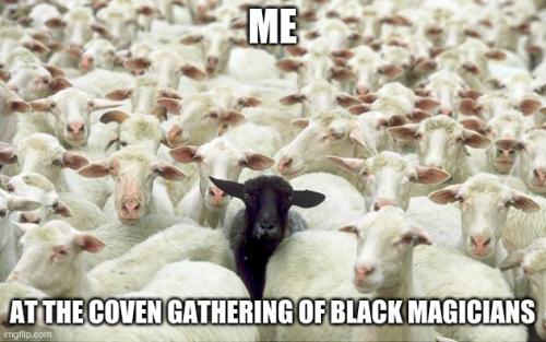 the black sheep