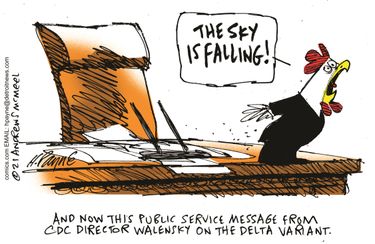 payn_c18417120210802120100-375x275