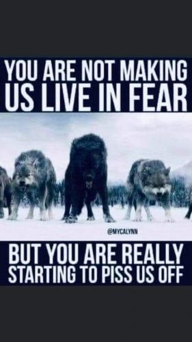 FB_IMG_1630347656492