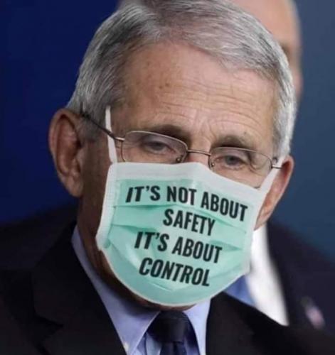 230895370_4146424342093176_5546139223923222392_n