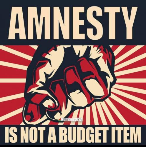 amnesty f
