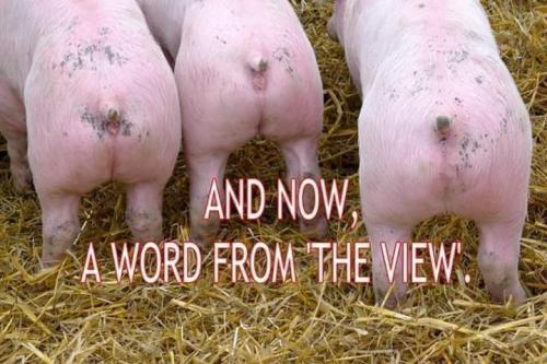 FB_IMG_1628907069213