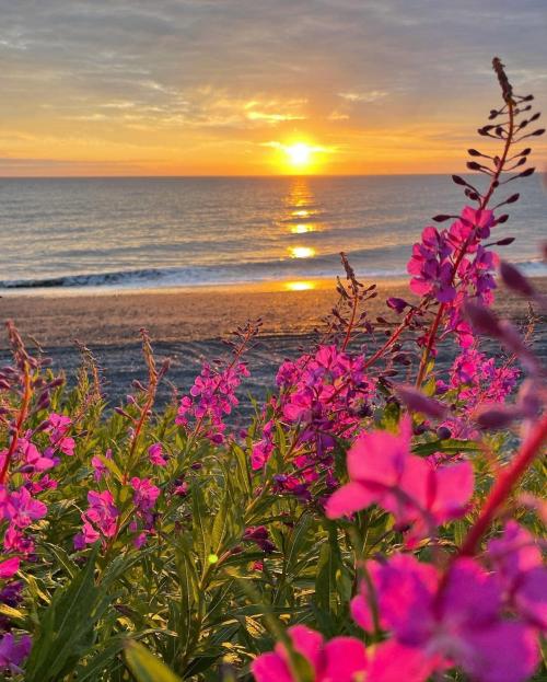 10:51:32 GMT-0800 (AKDT).image