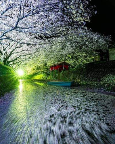 236244958_981781739273383_1282317129172261308_n