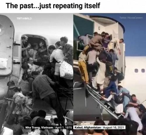 Screenshot_20210817-125934_Reddit