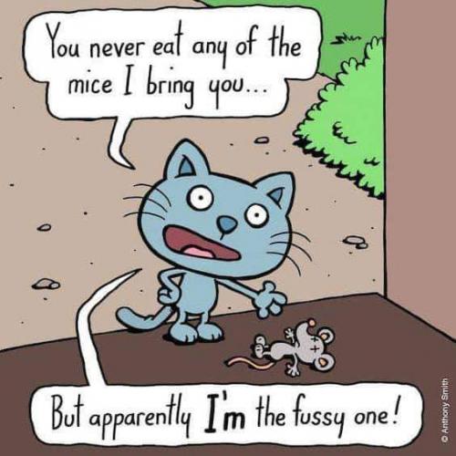 18:07:03 GMT-0700 (PDT)