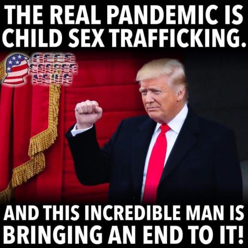 trump traffick