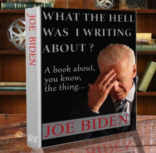biden book