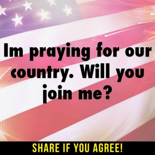 11045457_1015725571793753_6013351792534008858_o