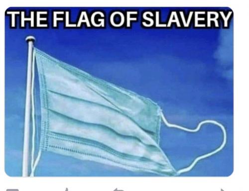 Screenshot_20210808-081408