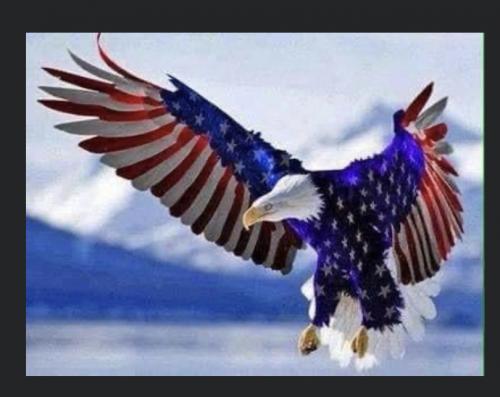 933A260F-D5FE-48DC-A8CD-C4E11C9449C4