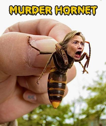 hillary m hornet