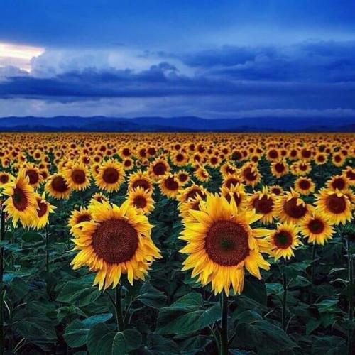 232429965_458174662667531_8641407399710440738_n