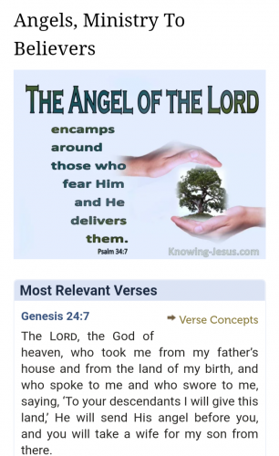 Screenshot_20210805-122040