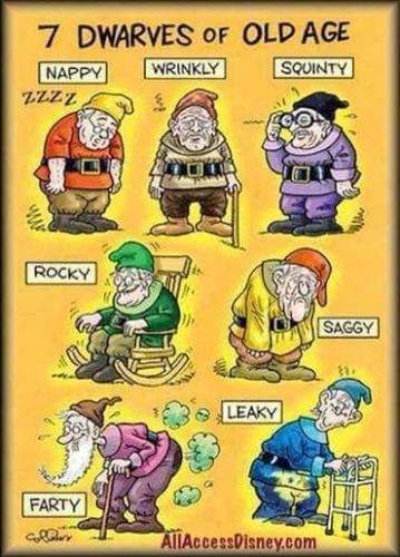 b5a3f1ddd47c80ec5232c40c33916cb0_1024