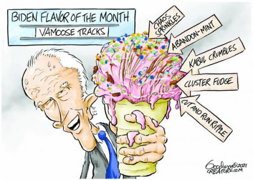 239004532_1334040283695156_8665921199620467558_n