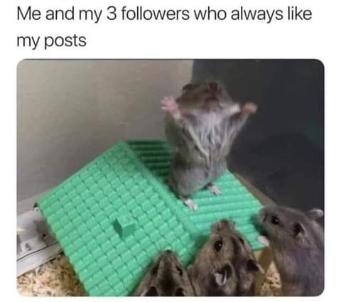 FB_IMG_1628037328362