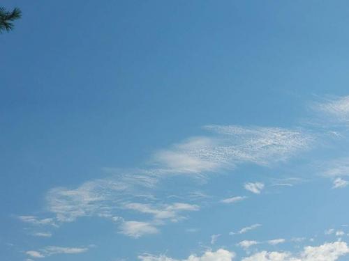 received_432079471438014