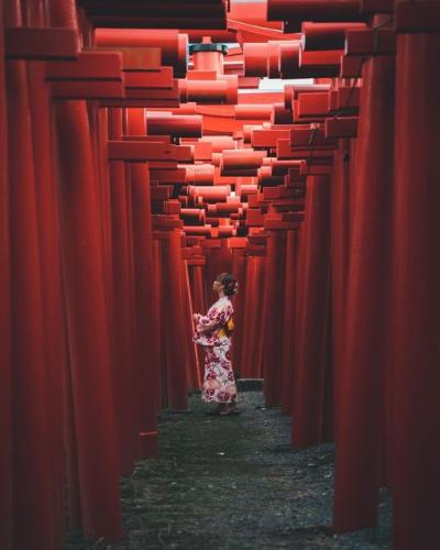 239462895_1119366351921628_2843554150679900376_n