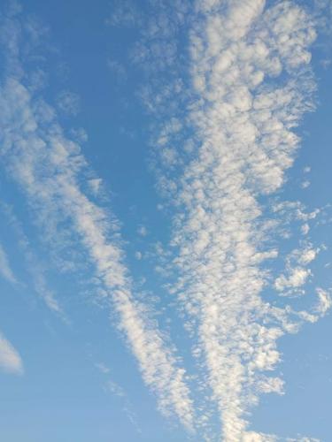 received_366275838385937