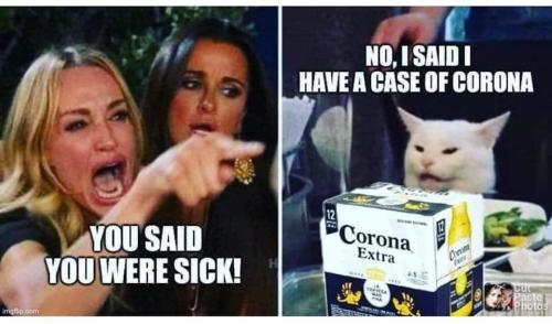 corona case cat