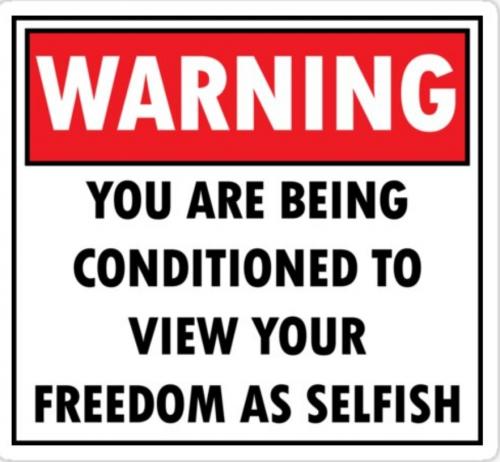 Screenshot_20210805-230754_Google