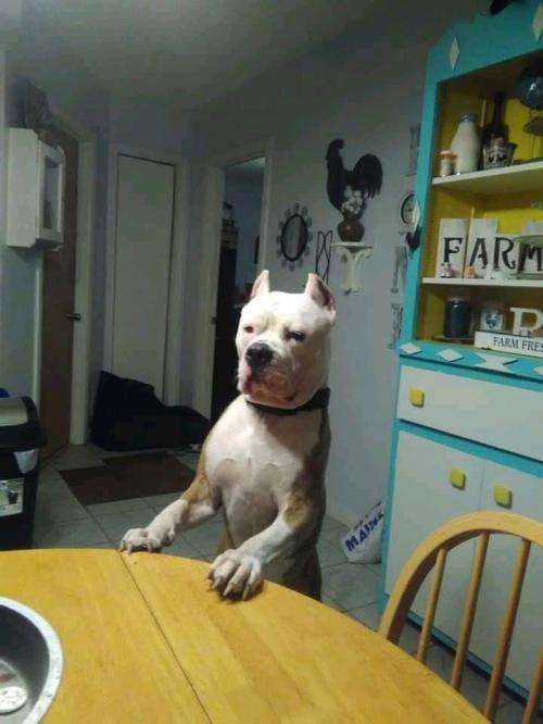 12:49:32 GMT+0100 (WAT)