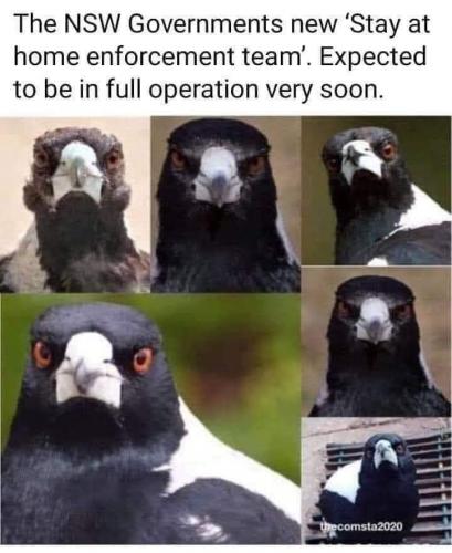 FB_IMG_1630141956387