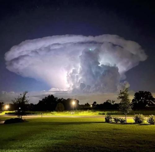 ,                                                                                                                                                                                                                   0     a