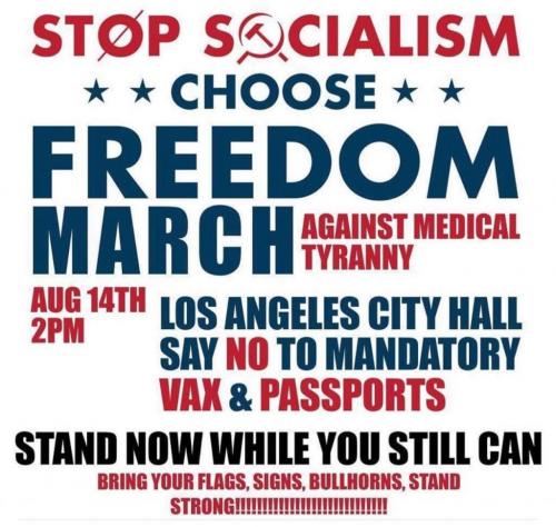 photo_2021-08-12_15-53-29